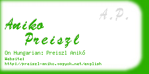aniko preiszl business card
